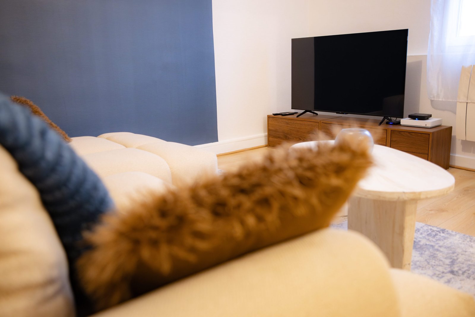 Appartement-république-01-salon-38-Arnaud-Koncina